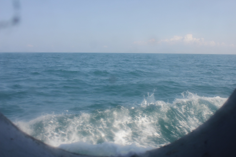 534_img9246.jpg