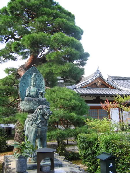 IMG_1320_resize.jpg