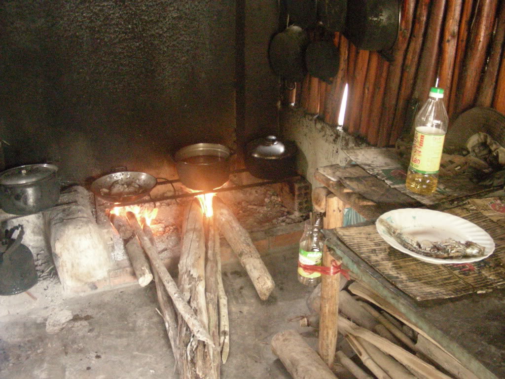 DSC41.jpg