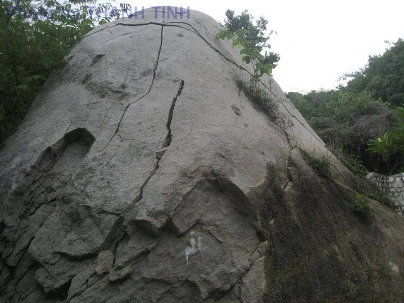 BC_LH101.jpg