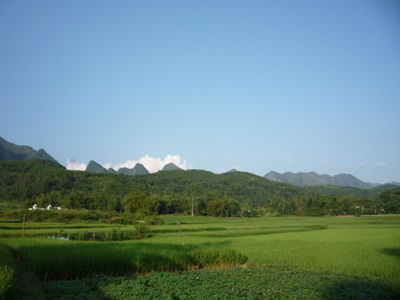 P1010770800x600.jpg