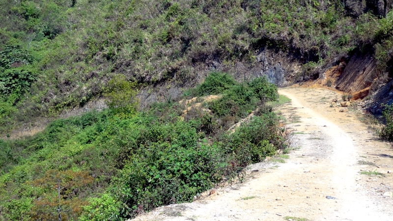DSC09277_zps2e2f6628.jpg