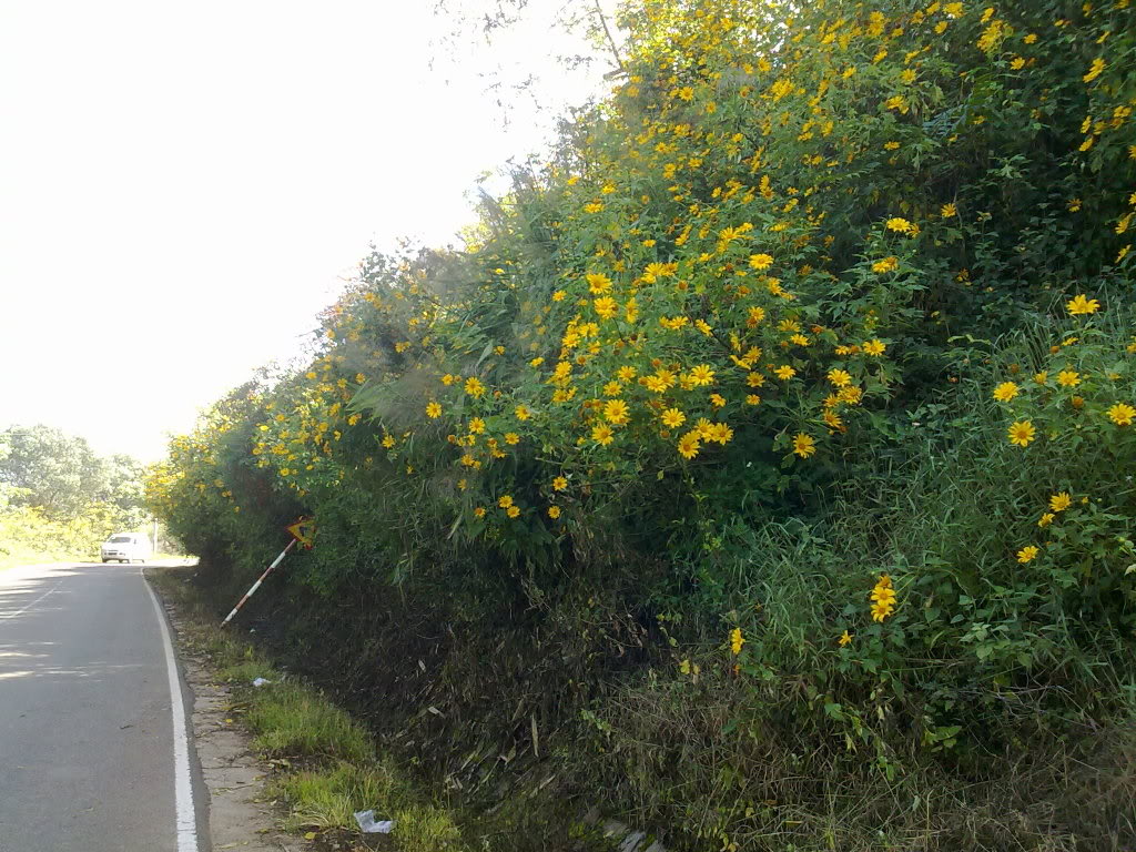 20112011425.jpg