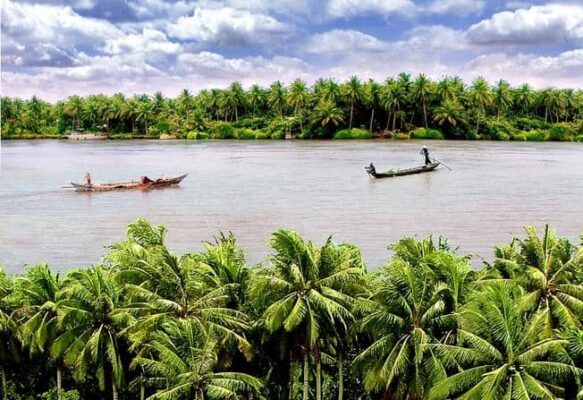 Phong cảnh Cồn Quy với cảnh sông nước và dừa xanh