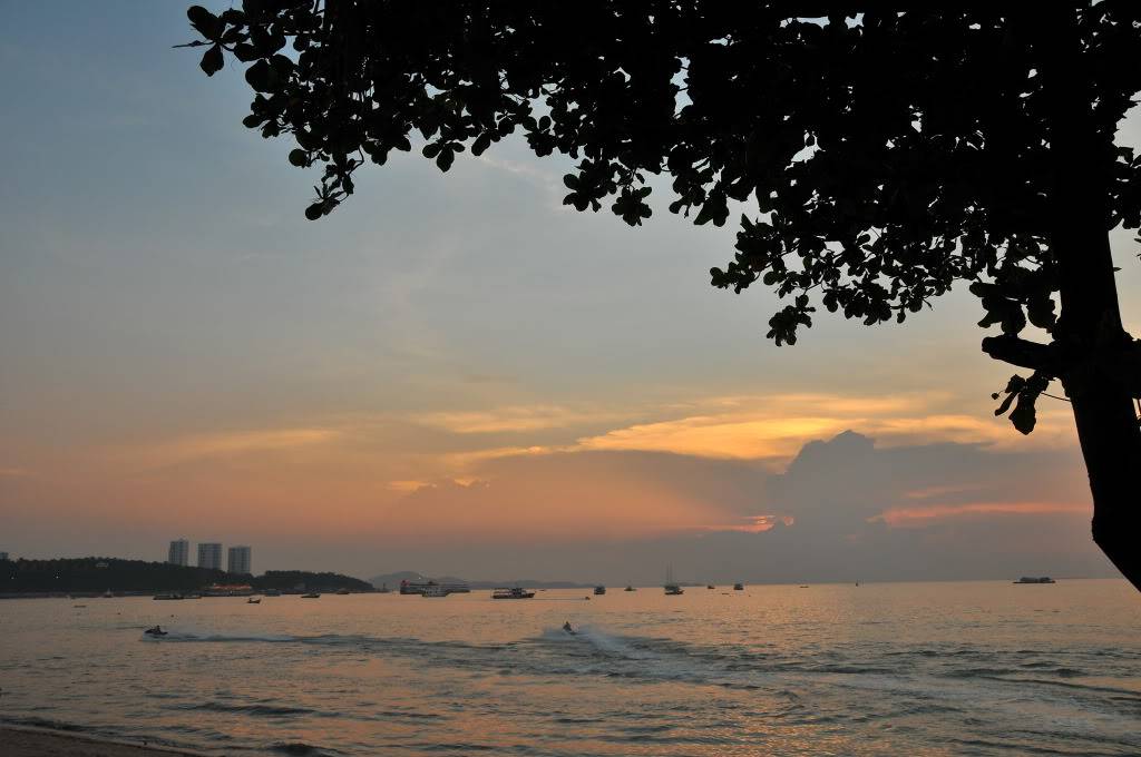 DSC_1444.jpg