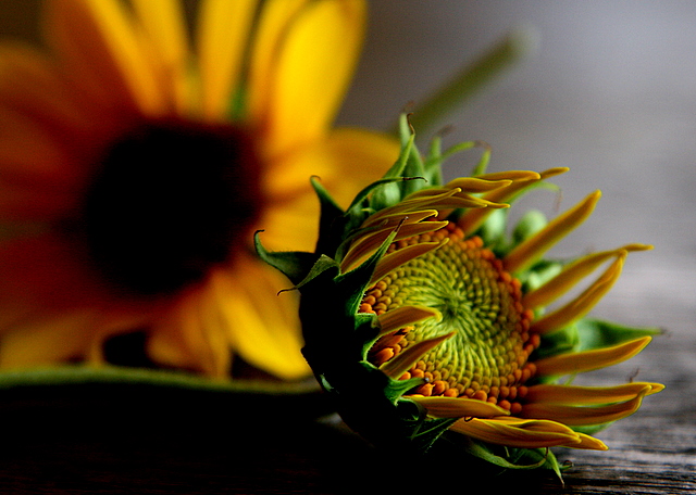 12048205a98767af.jpg