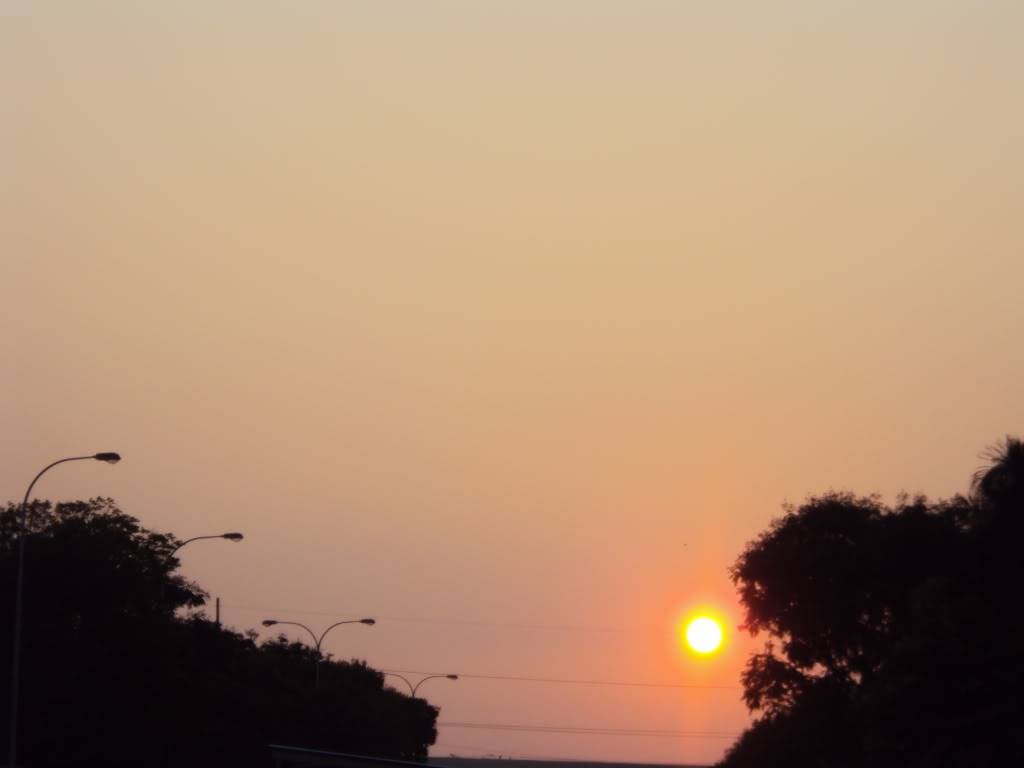 DSC05520.jpg