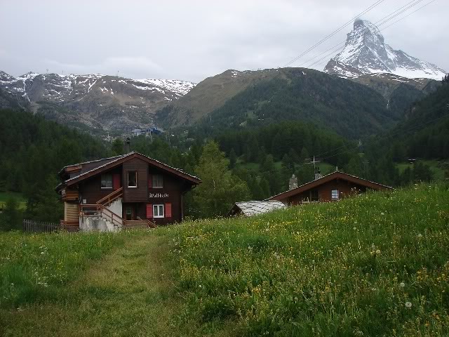 DSC09796.jpg