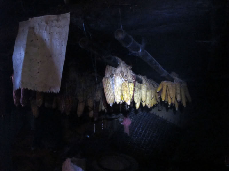 HongNgai2011524.jpg