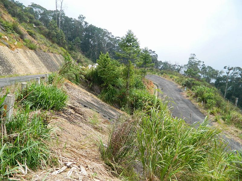 DSCN2593.jpg