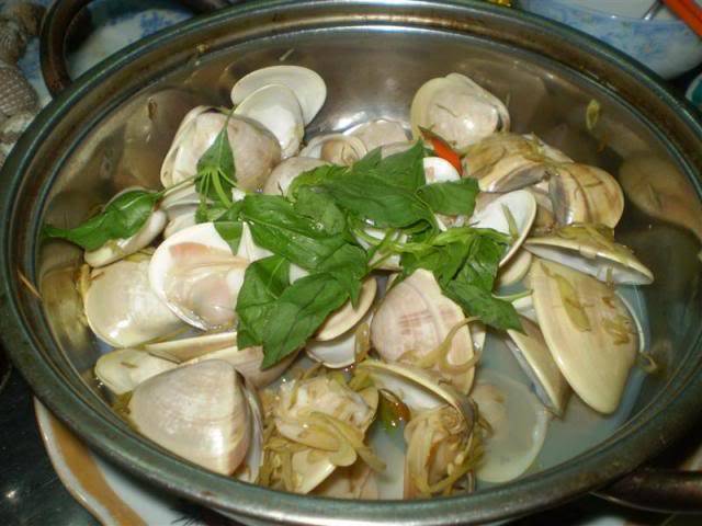 P1010363Medium.jpg
