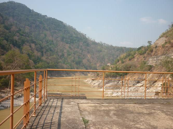 P1040247.jpg