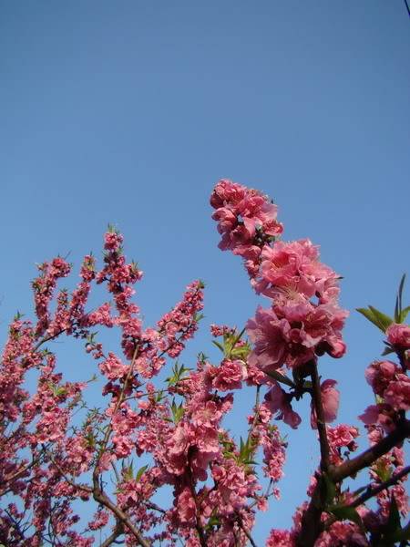 DSC02323_resize.jpg