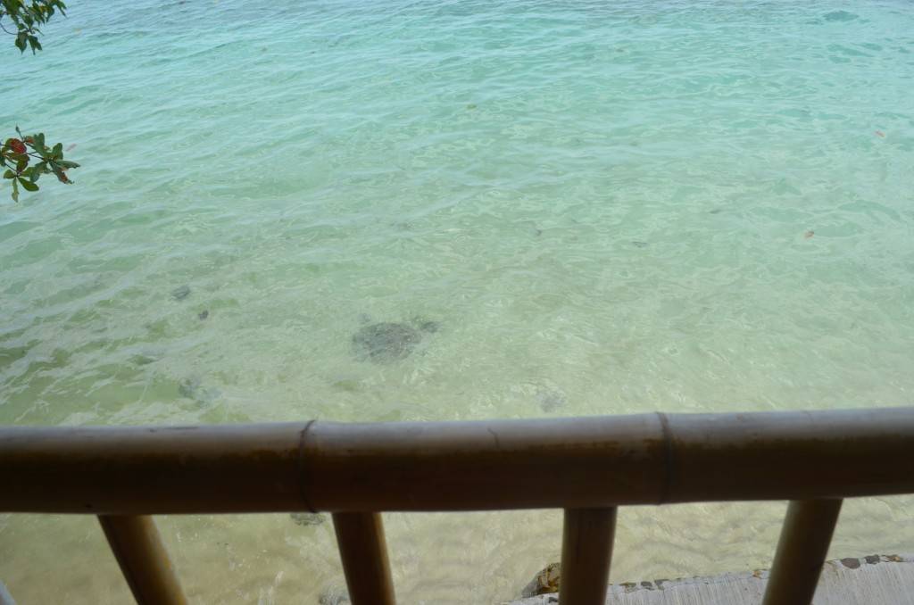 DSC_1994.jpg