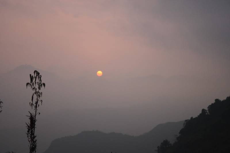 IMG_1724.jpg