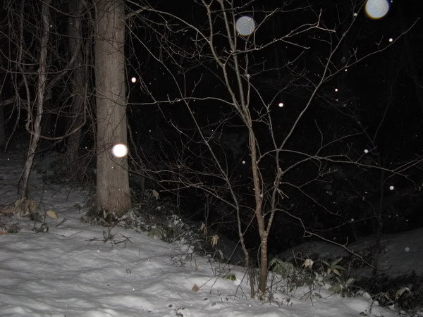 IMG_3077_resize.jpg