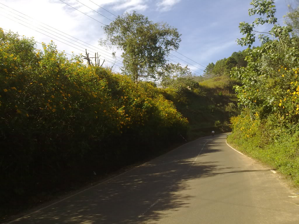 20112011426.jpg