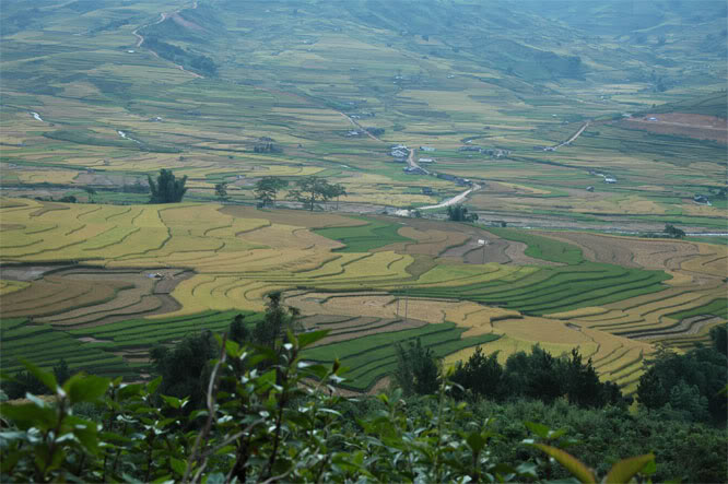 DSC_1189.jpg