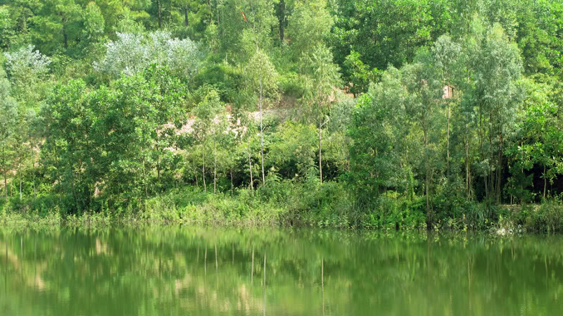 TayYenTu1010511.jpg
