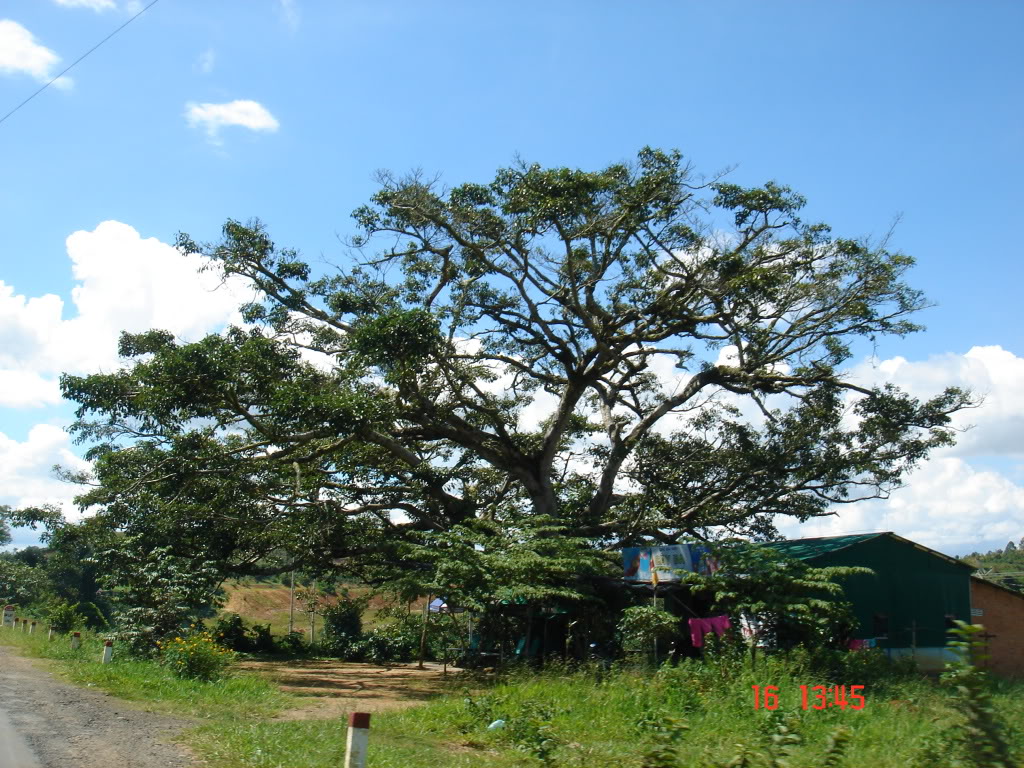 DSC01067.jpg
