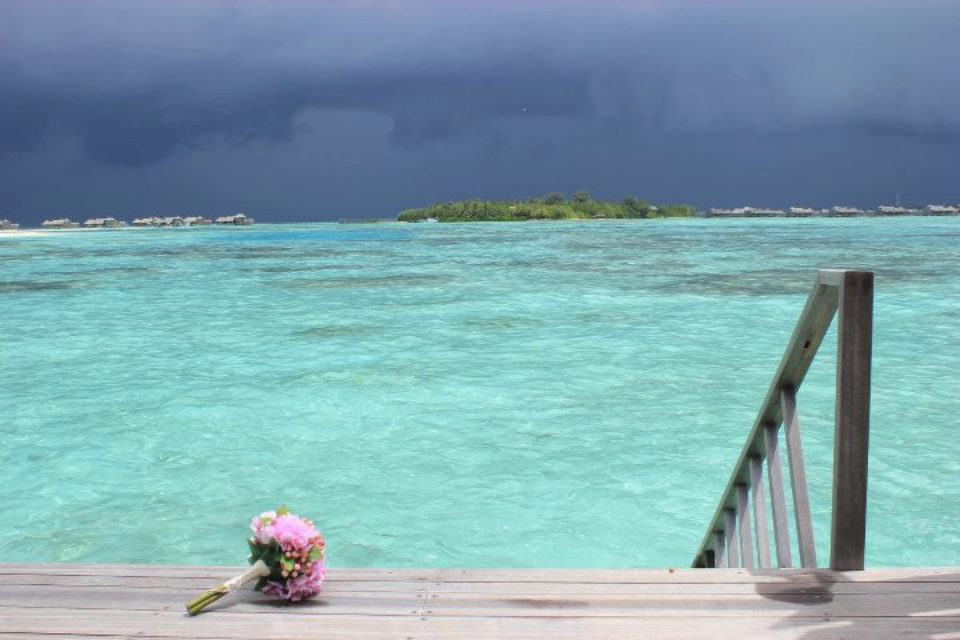 IMG_2969-2.png