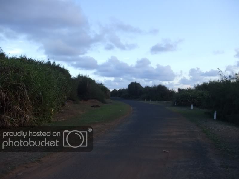 DSCF7441.jpg