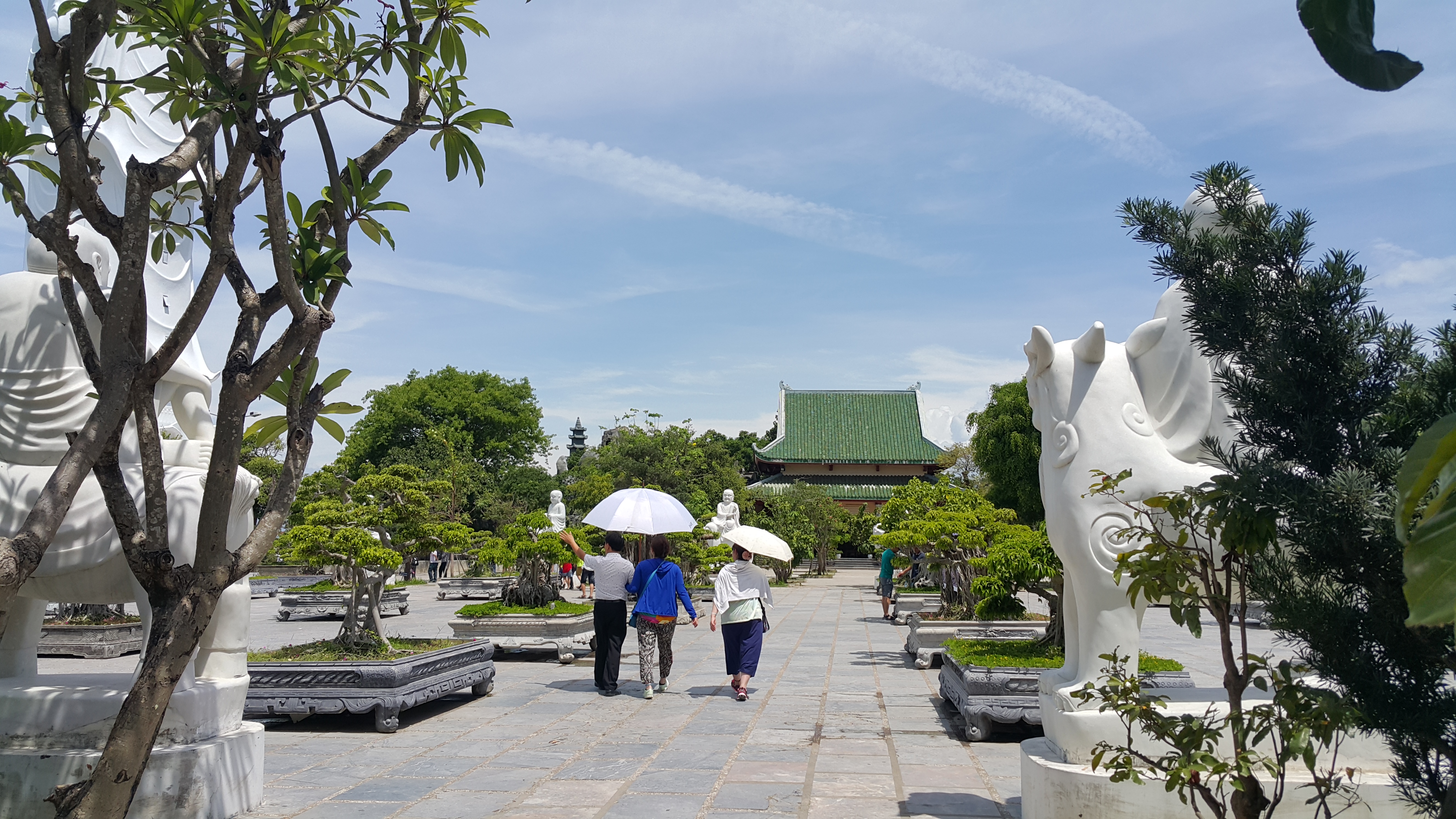 20170620_102958.jpg