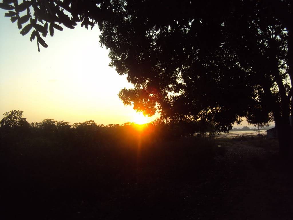 DSC04464.jpg