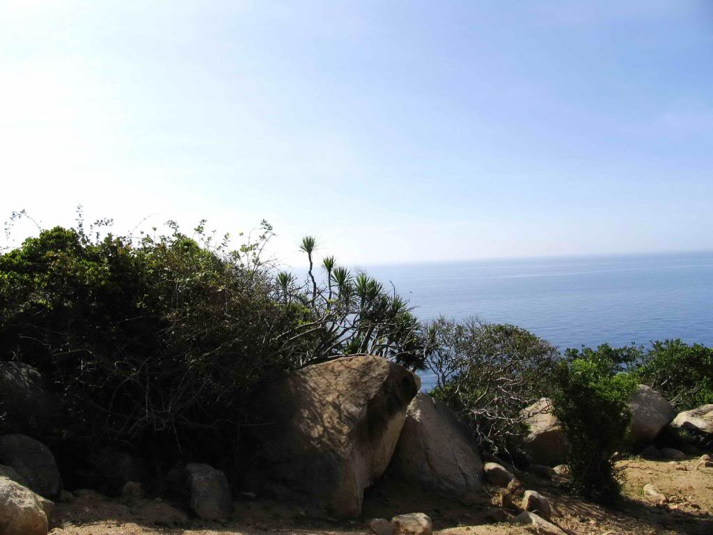_MG_8410.jpg