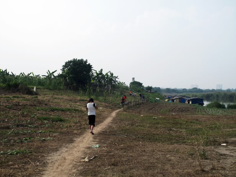 sh5.jpg