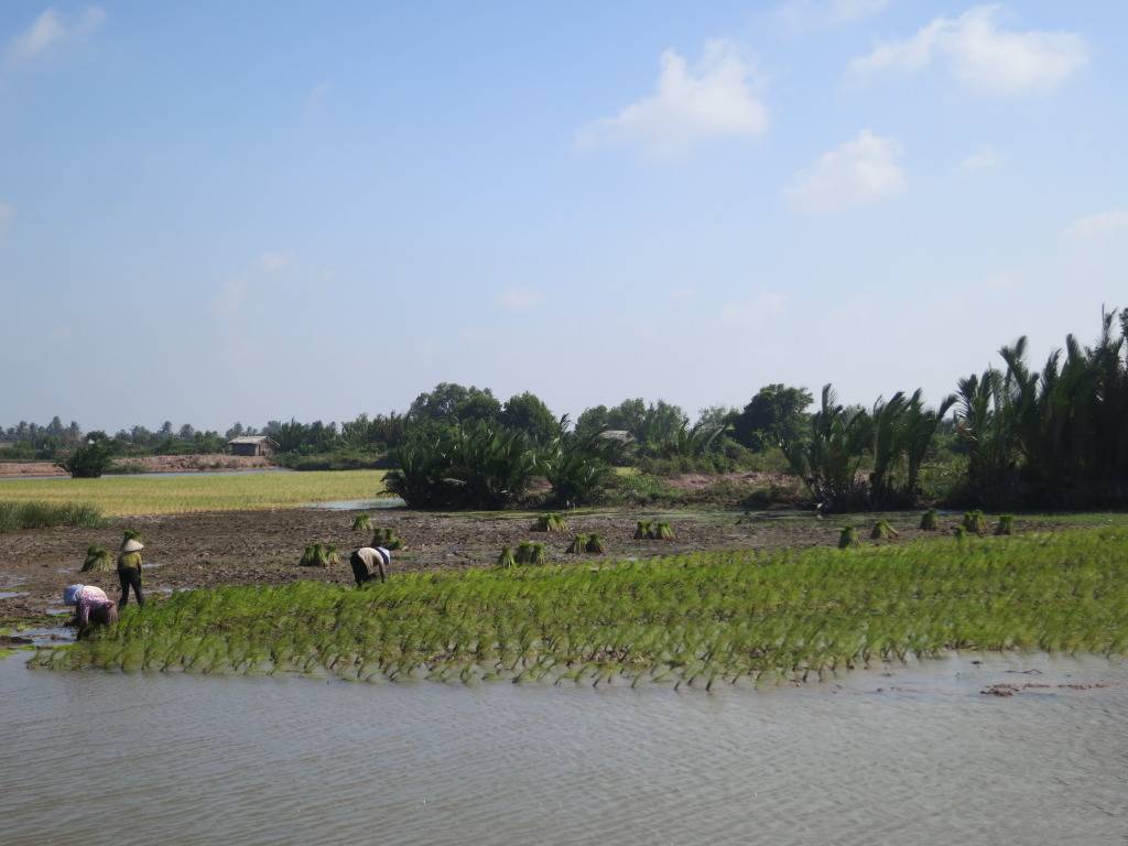 Cnm4087.jpg