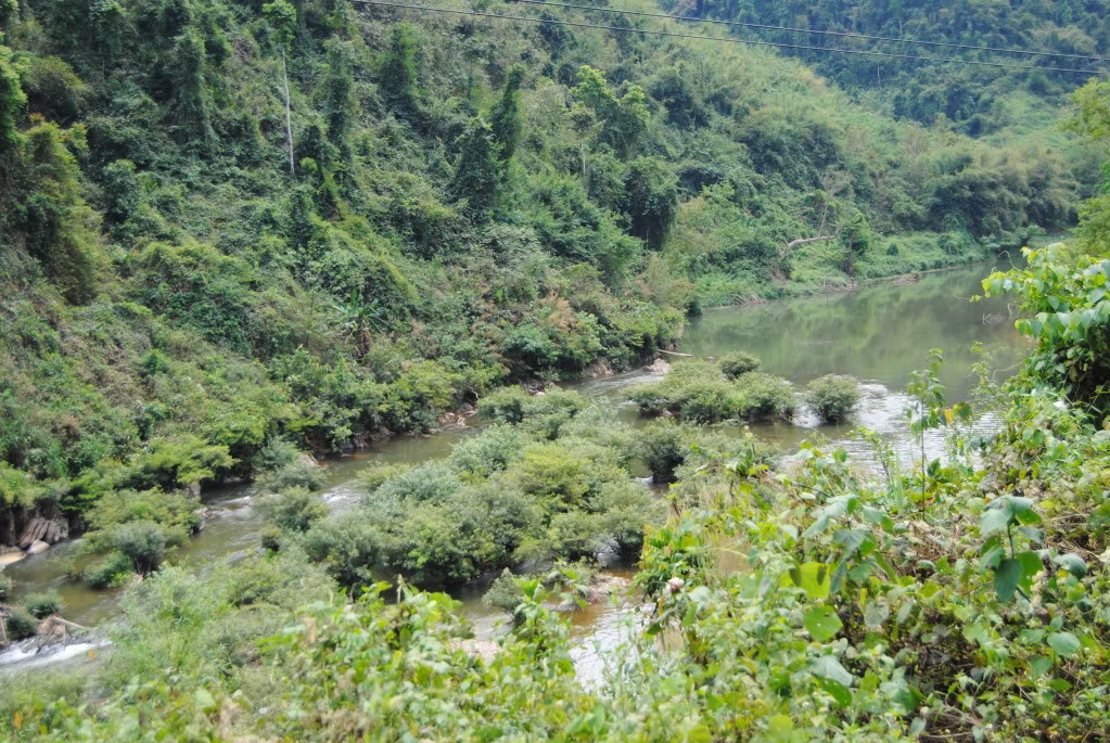 DSC_0096.jpg
