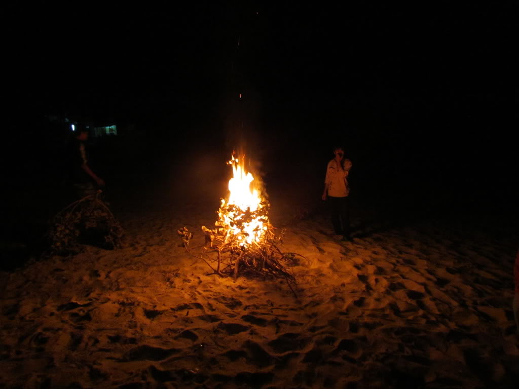 IMG_2195.jpg
