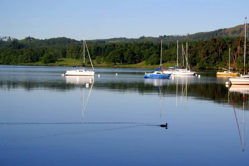 _MG_7441.jpg
