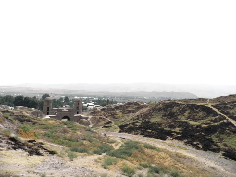 P8130853.jpg