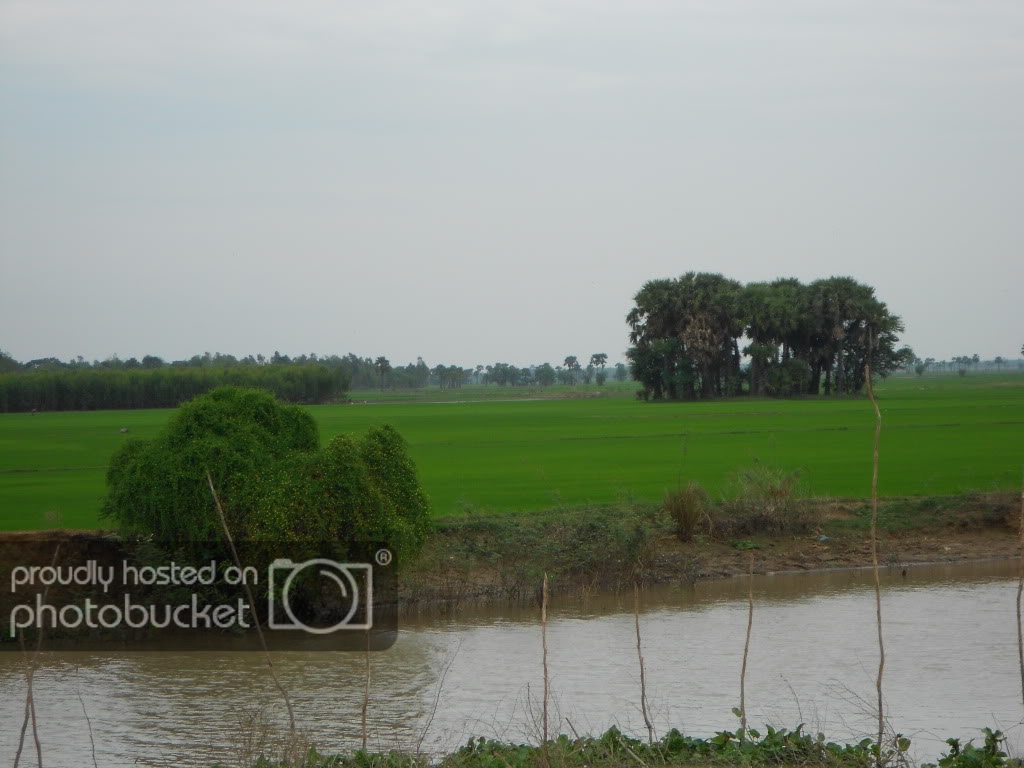 DSCN0682.jpg