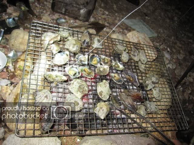 haobaonuong-1.jpg
