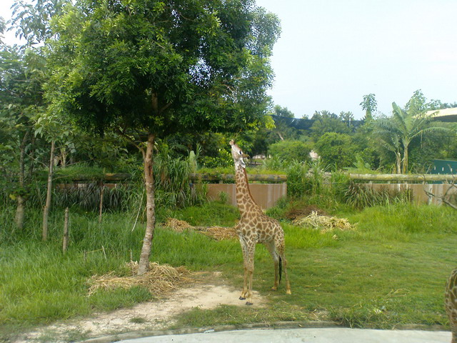 2010-dai-nam-02.jpg