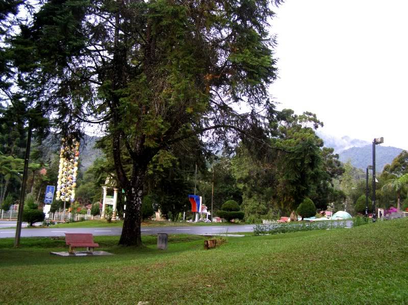 P7150568.jpg