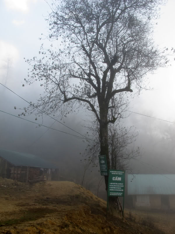 HongNgai2011512.jpg