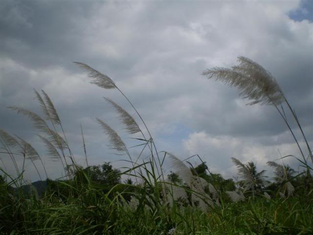 P1010200Medium.jpg