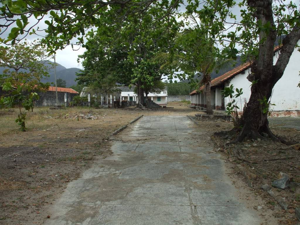 DSCF6586.jpg