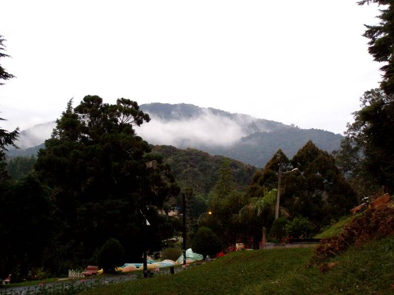 P7150572.jpg