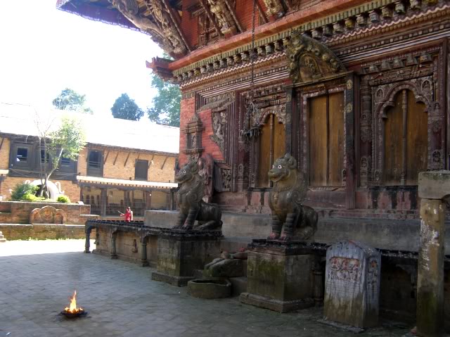 PB030674.jpg