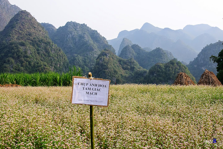 TGM7.jpg