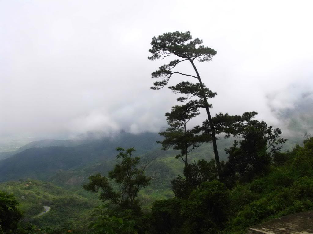 _MG_2109.jpg