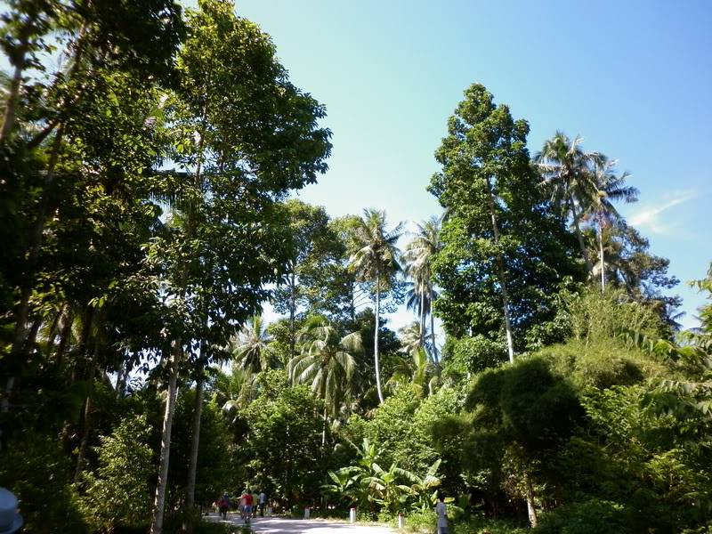 P1000884.jpg