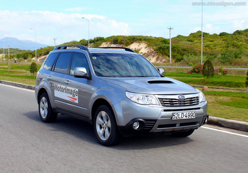 012810_Forester_00.jpg