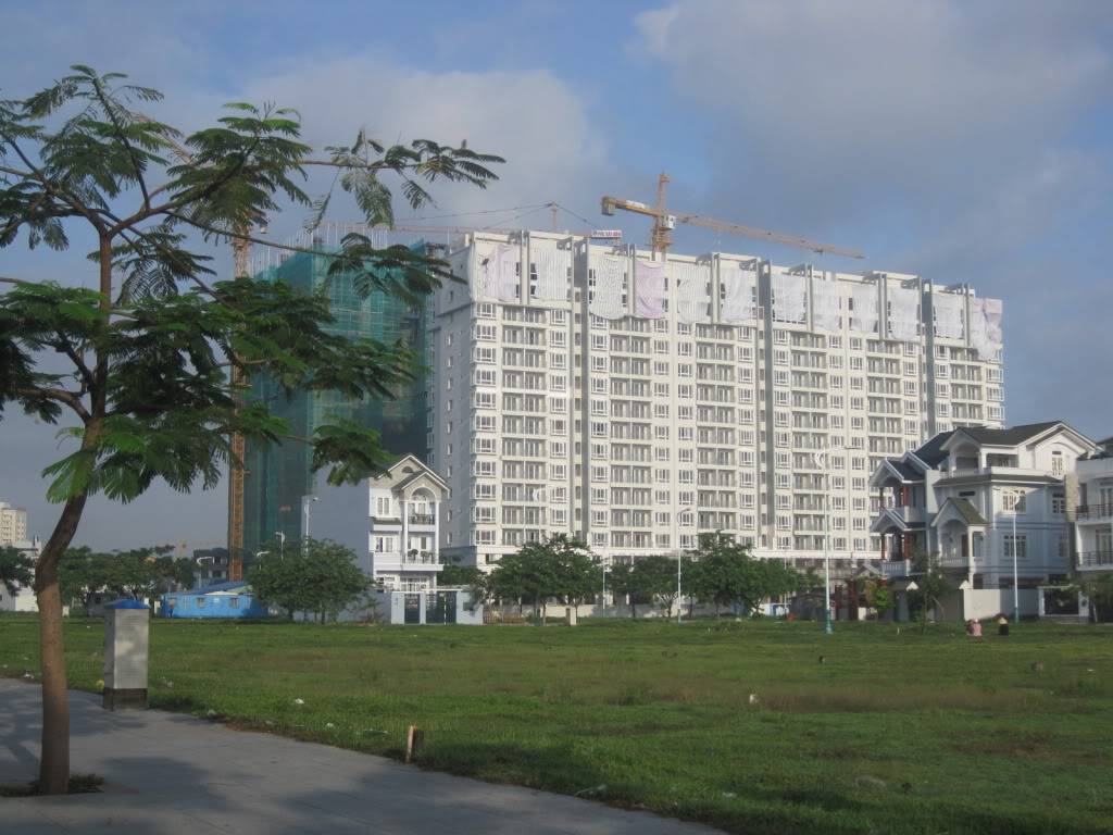 QL55QL28007.jpg