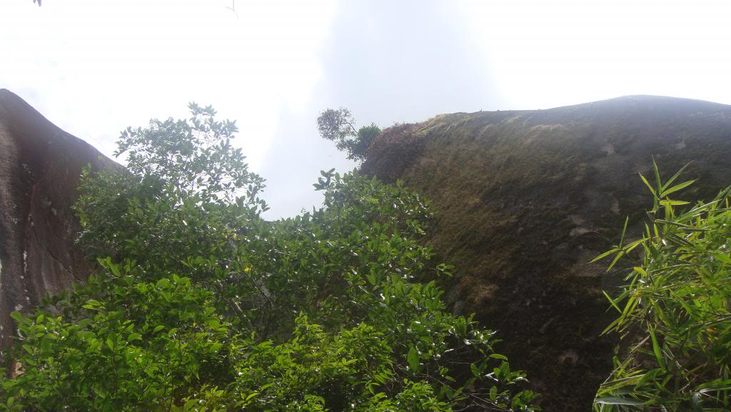 DSC06269_zps437ec1b9.jpg